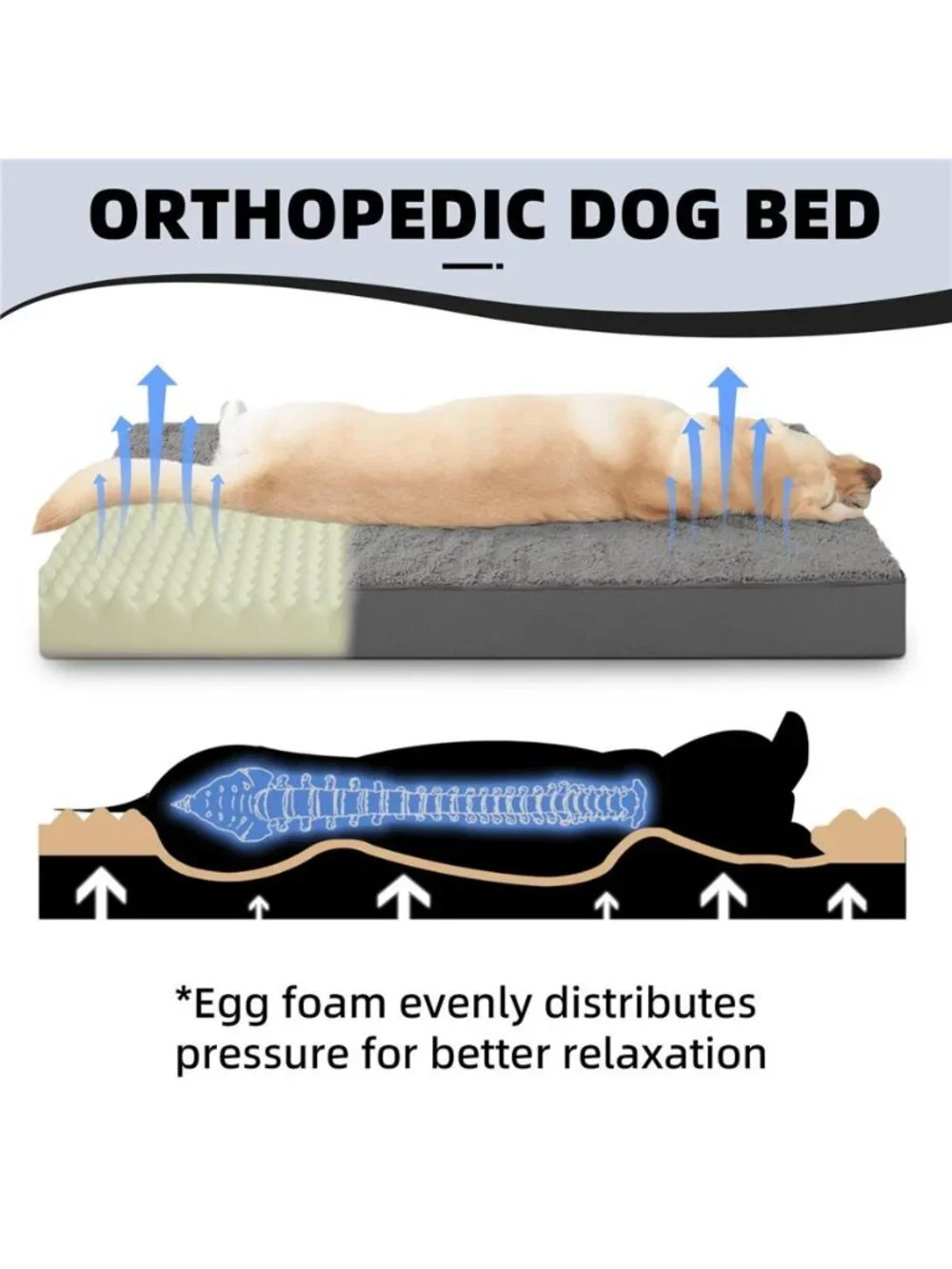 23in Dog Bed for Small Dog Orthopedic Crate Bed with Removable Washable